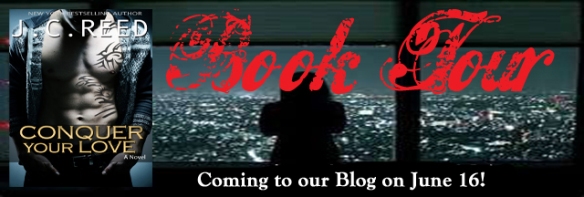 Blog Tour banner